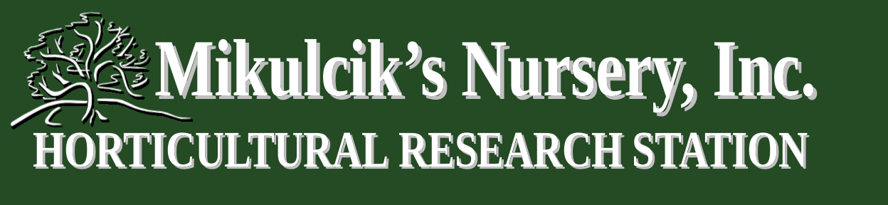 Mikulcik's Nursery - Growing Climate-Adapted Plants for Kentucky